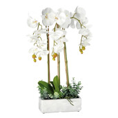 Orhidee artificiala alba in ghiveci ceramica 25 x 10 x 62 cm