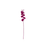 Orhidee artificiala roz 73 cm