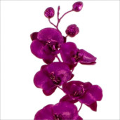 Orhidee artificiala roz 73 cm