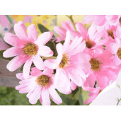 Set 3 Margarete artificiale 65 cm