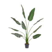 Planta Sterlizia artificiala in ghiveci 180h