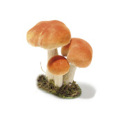 Ciupercute decorative hartie, textil 10,5 x 7,5 x 15 H