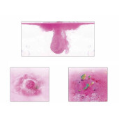 Set 2 bombe de baie aroma Portocala, Aloe, Sakura 2 x 180 gr