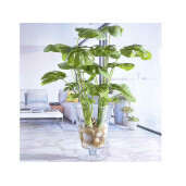 Planta artificiala Monstera 54 cm