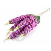 Buchet Zambile artificiale mov verde 58 cm