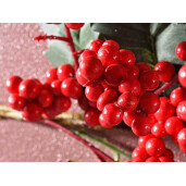 Crenguta cu fructe rosii artificiale Illex 63 cm