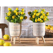 Set 2 ghivece flori 10.5x18.5 cm