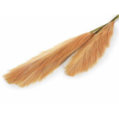 Set 8 flori Pampas artificial 105 cm