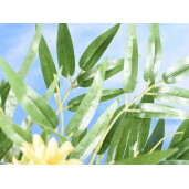 Set 2 crengute Bambus artificial 73 cm