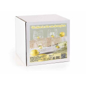 Set 4 pahare sticla decor Lamai 3D Ø 9 cm x 9 H