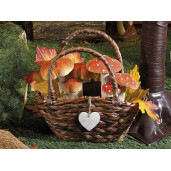 Set 2 cosuri 27x13x25 cm