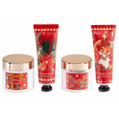 Set cadouri Craciun 2 creme picioare 2 creme maini 19x5x23 cm