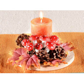 Set 20 Ciupercute, Conuri, Frunze 3x3.5 cm, 8x8 cm, 5x4.5 cm
