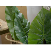 Frunza decorativa cala 55 cm