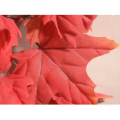 Ghirlanda frunze artificiale Autumn 1.80 m