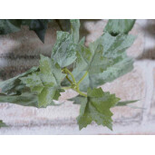 Buchet Vita de Vie artificiala verde 53 cm