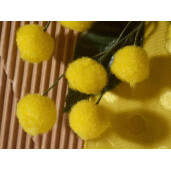 Set 20 crengute Mimoza artificiala 34 cm