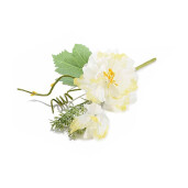 Set 8 Peonia artificiala 16 cm