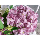 Set 8 Hortensii artificiale multicolore 88 cm