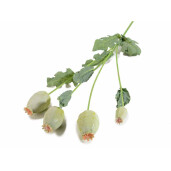 Set 3 plante bulbi Maci artificiali 60 cm