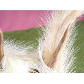 Set 2 crengute artificiale 110 cm