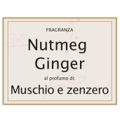 Parfum camera cu betisor aroma Nucsoara si Ghimbir  Ø2,5x6H, 12 cm, 10 ml