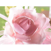 Set 12 Trandafiri artificiali roz 13 cm