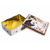 Cutie depozitare metal multicolor Pisicute 13 x 18 x 5 H