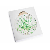 Set 4 suporturi vase fierbinti pluta ceramica Plante aromatice cm 19,5 x 22 H