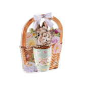 Set 8 cani Paste portelan multicolor 8x10.5 cm, 350 ml