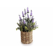 Set 2 flori Lavanda in ghiveci 12x13x38 cm