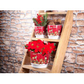 Set 3 ghivece Caciun ceramica multicolora Ø 17,5 cm x 14,5 H, Ø 13 x 12,5 H, Ø 10,5 x 11 H