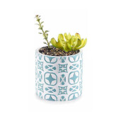 Planta suculenta artificiala in ghiveci ceramica albastra alba Ø 11 cm x 19 H