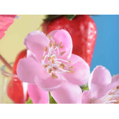 Set 10 flori Piersic artificial 13 cm