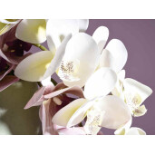 Set 6 Orhidee artificiale 95 cm