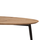Masuta de cafea MDF stejar artisan metal negru Sanam 120x50x38 cm