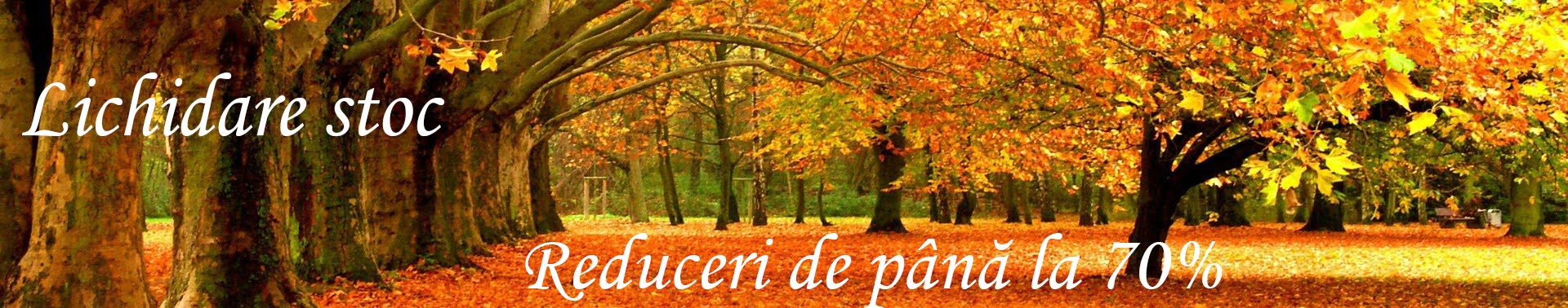 reduceri
